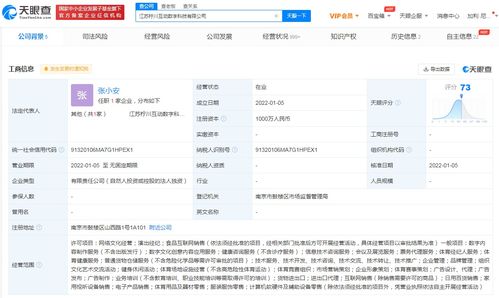 蘇寧布局?jǐn)?shù)字科技新賽道，跨界融合拓展業(yè)務(wù)版圖